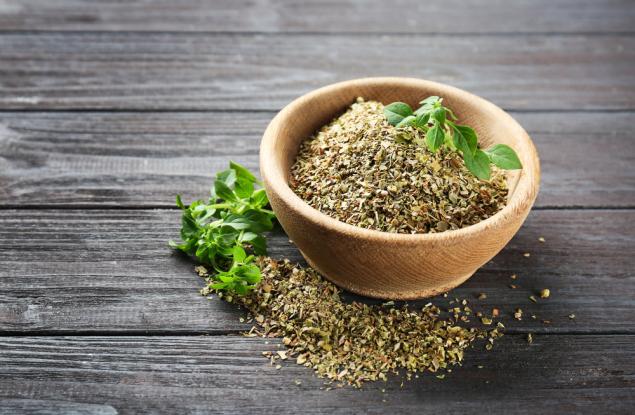 Лековитото растение риган