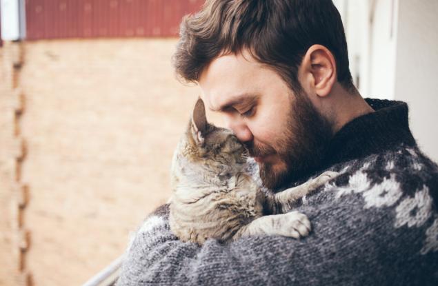 През целия си живот сте държали котката си като аматьори