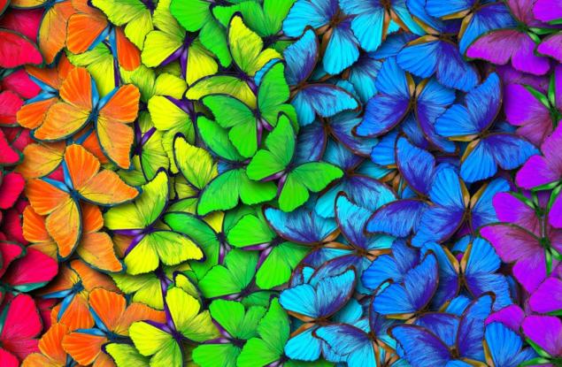 Какво всъщност е цветът?