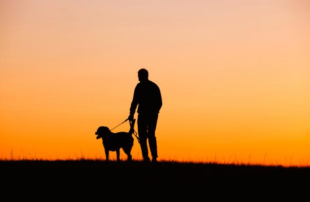 В рая отиват само тези, които не изоставят приятелите си