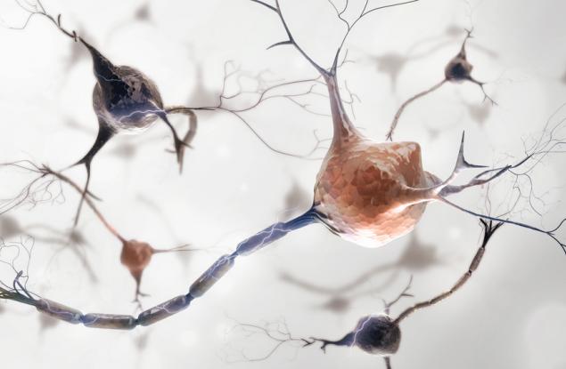 Изследване разкрива магията на опиума