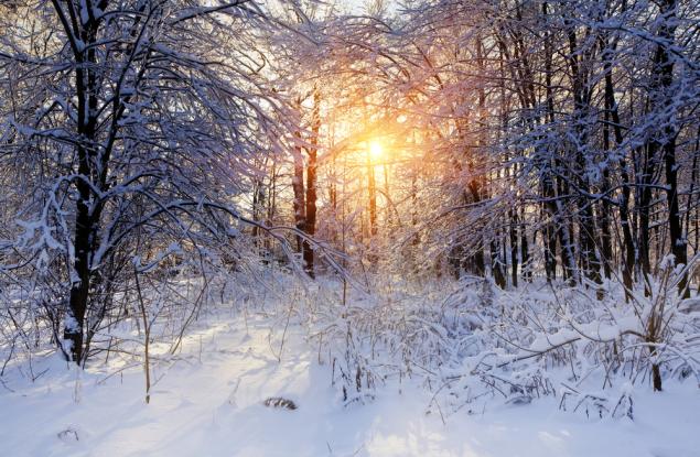 Зимата засилва умствените заболявания