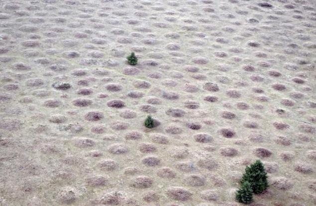 Могилите Майма – загадка за учените от над 150 години