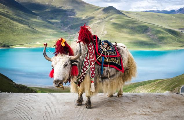 Разходка из Тибет: живописни гледки от „покрива на света“