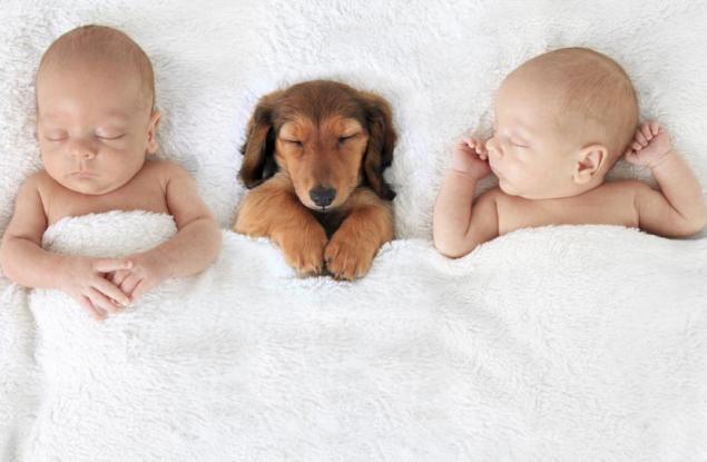  Бебета близнаци в умилителни снимки 