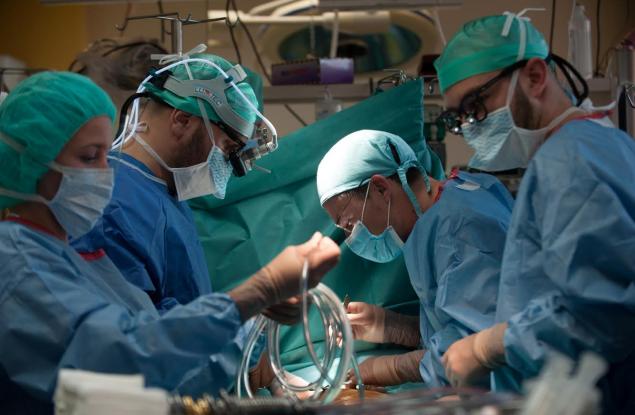 Български лекари излекуваха сърцето на Артър – лабрадорът водач с изключителна съдба