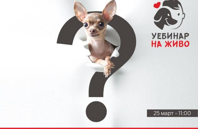 Purina организира образователни уебинари, на които ще научите повече за отглеждането на домашните си любимци 