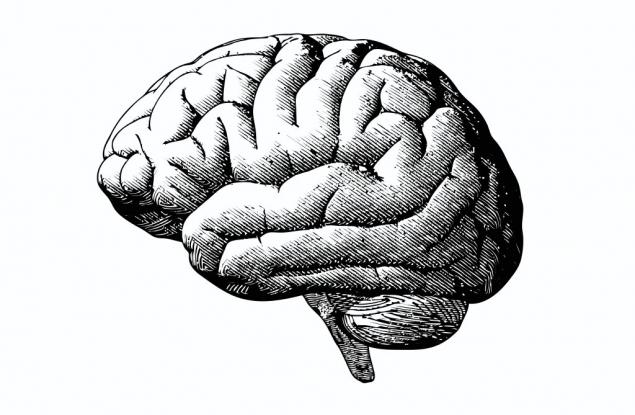 Виц: Колко струва мозъкът на един учен?