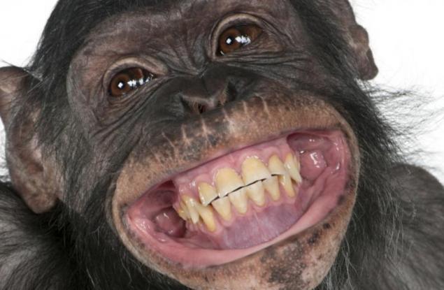 Плюсовете да си грозен