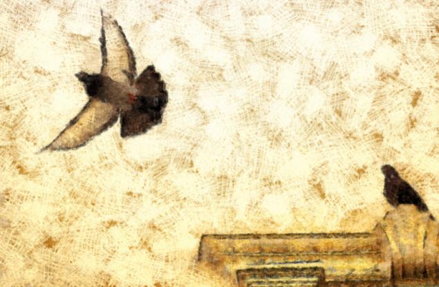 Притча за гълъбите