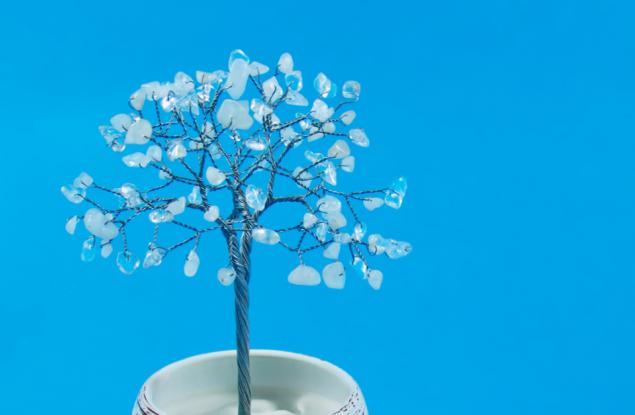 Ето как да си направите магическо кристално дърво, което постепенно се покрива със сняг!
