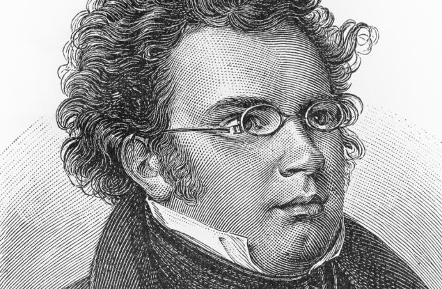 Франц Шуберт за чуждата печал