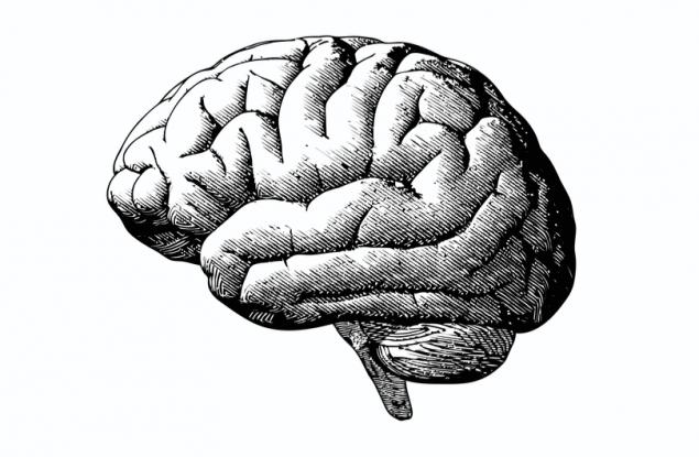 Защо умните хора са по-предразположени към психични заболявания
