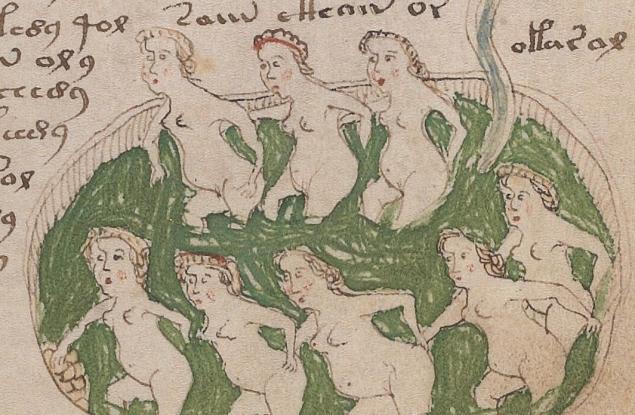 Експерти: Ръкописът на Войнич не е разчетен