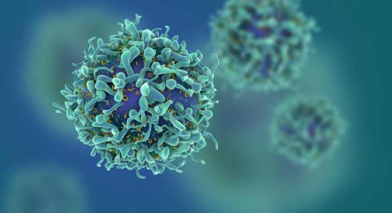 Британски учени откриха имунни клетки, които могат да неутрализират коронавируса