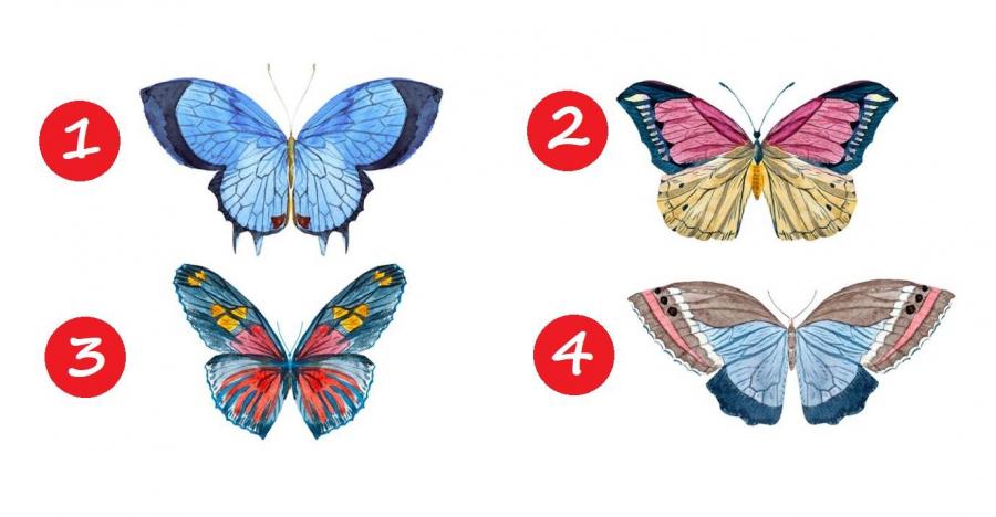 Изберете пеперуда и разберете кои са вашите най-силни качества