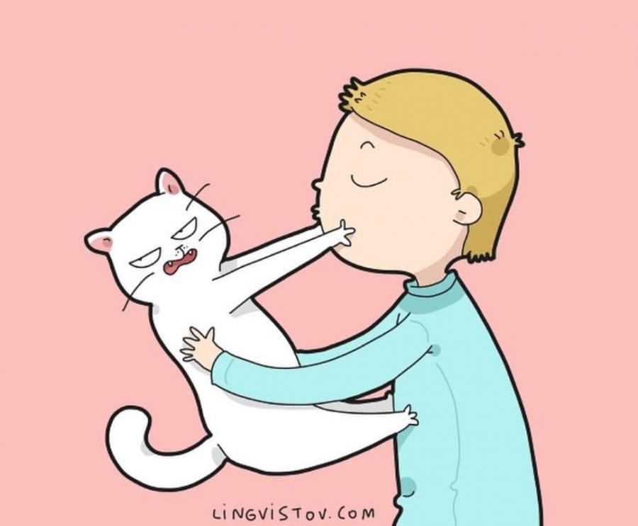 30 илюстрации, посветени на забавния живот с котките