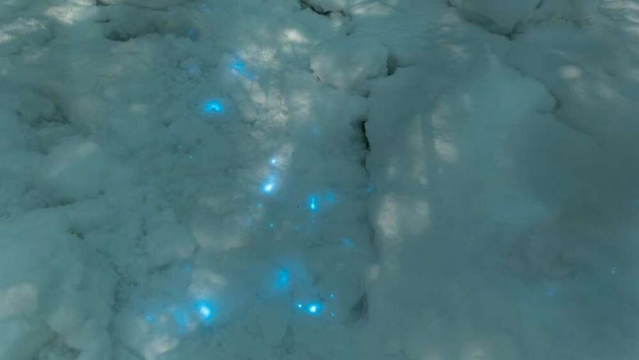 Учени се натъкнаха на мистериозен сияещ сняг в руската Арктика
