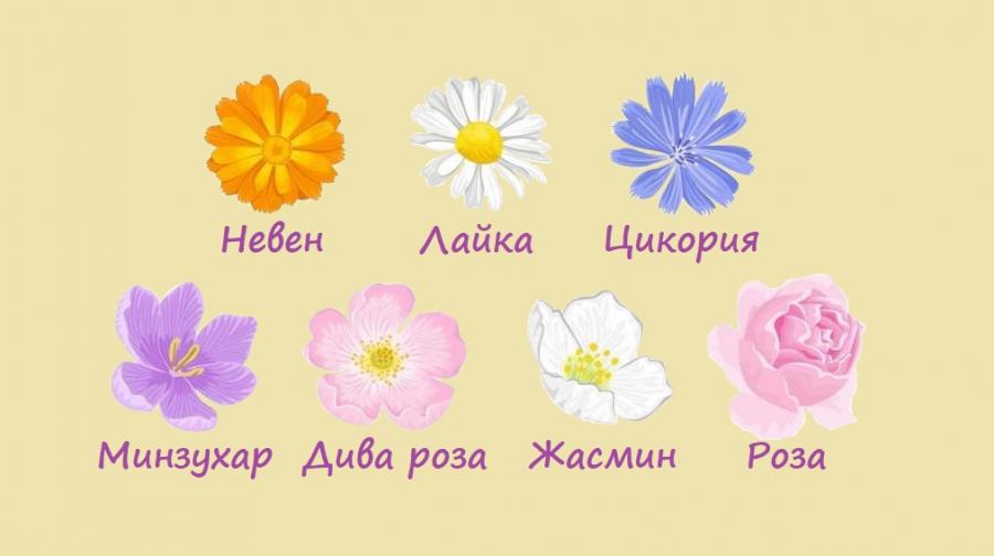 Цветето, което изберете, ще ви покаже какво е важно да направите за себе си