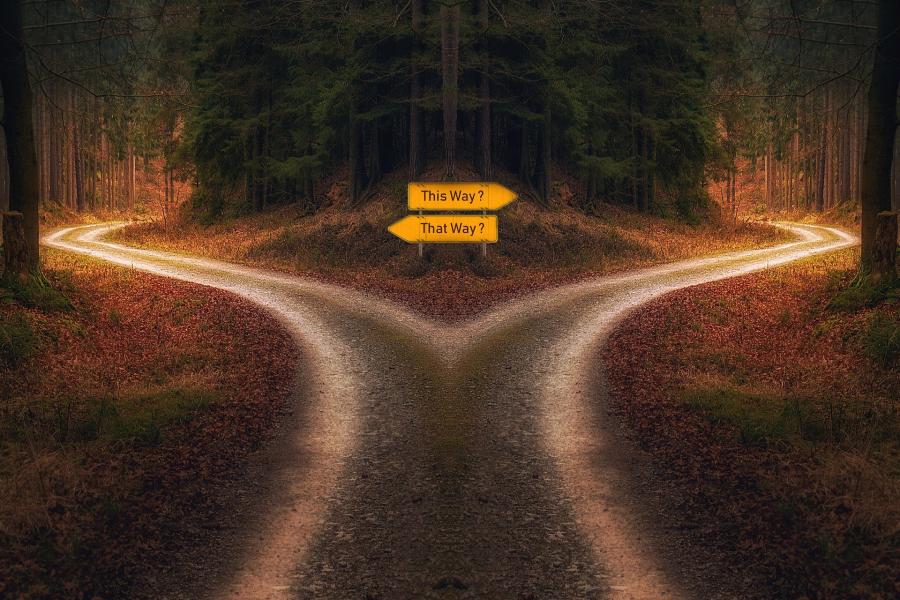 Психология на избора - как взимаме решения и какво им влияе (подкаст)