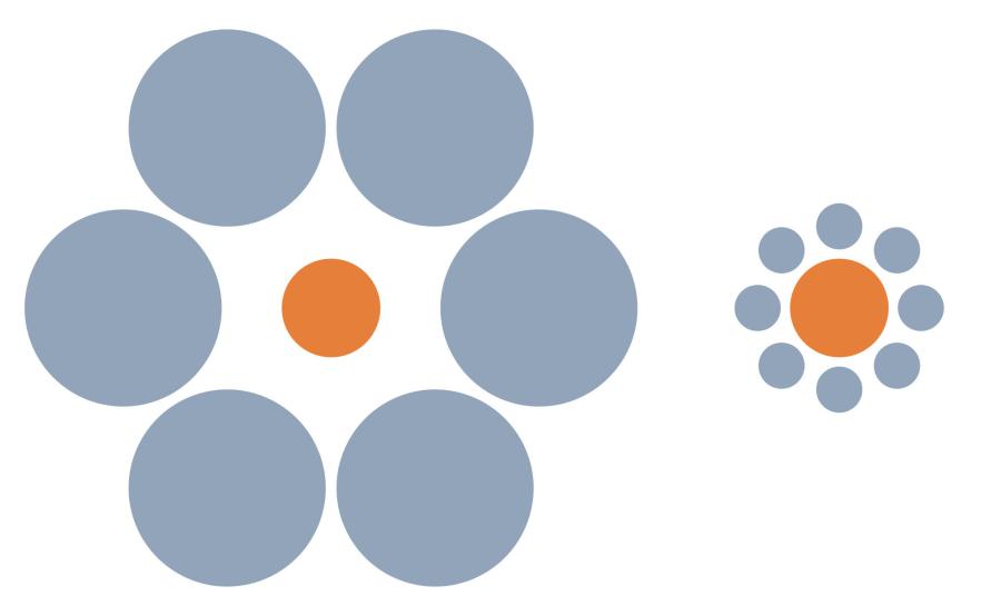 Заблуждават ли се животните от оптичните илюзии? Какво могат да ни научат рибите и птиците за възприятието