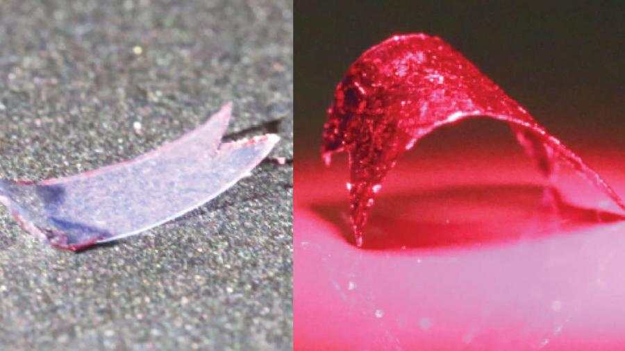 Научиха пластмасата „да ходи“