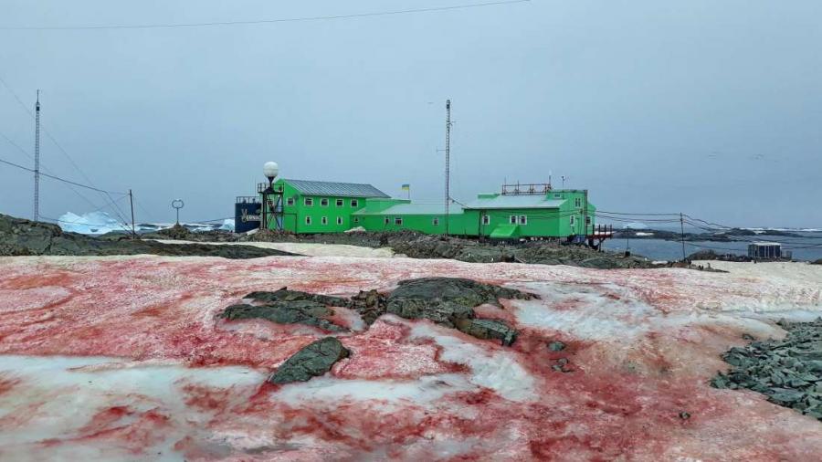 Учени откриха кървавочервен сняг в Антарктида