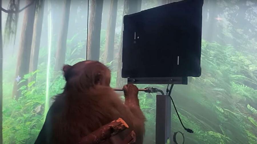 Вижте как маймуна играе на видео игри със съзнанието си чрез Neuralink на Илон Мъск