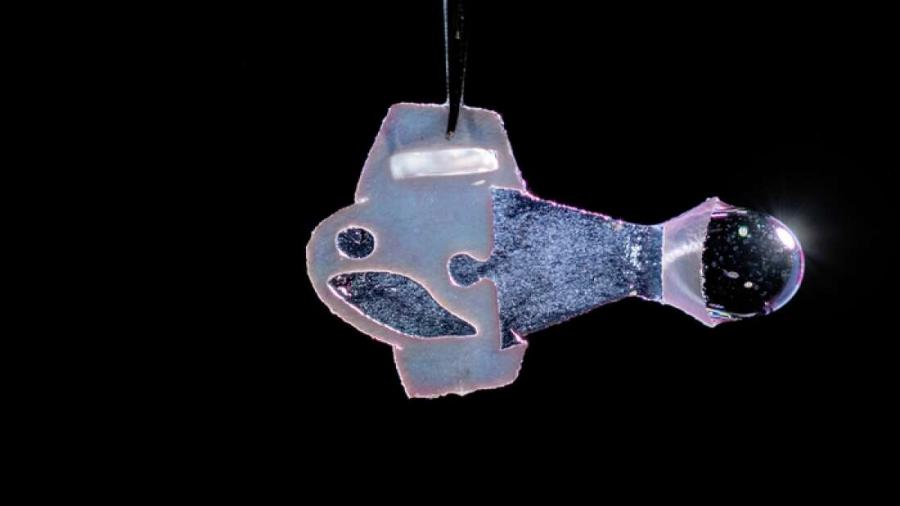 Изкуствена „риба“, създадена от сърдечни клетки, плува като туптящо сърце