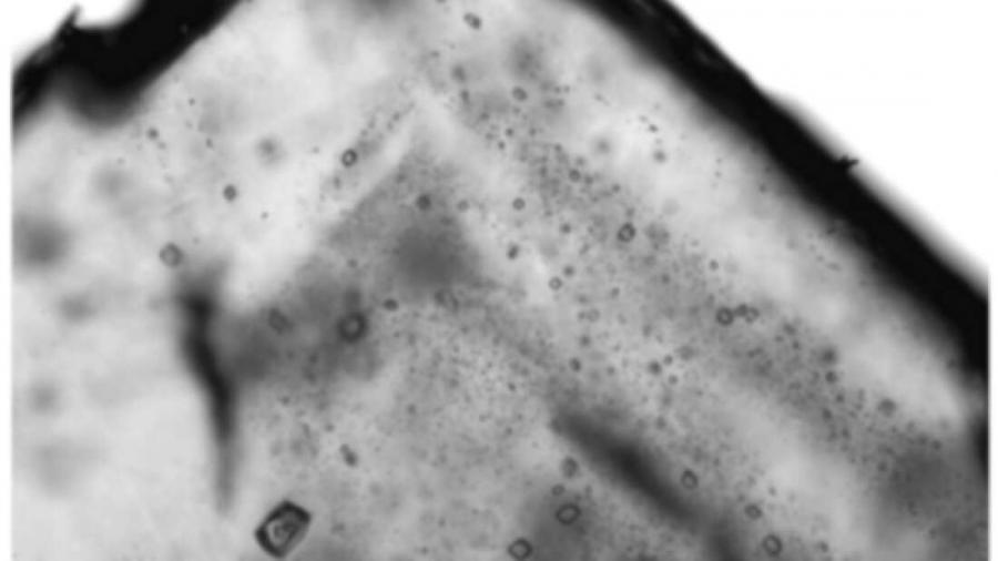 Учени искат да отворят кристал на 830 млн. години с потенциално жив организъм