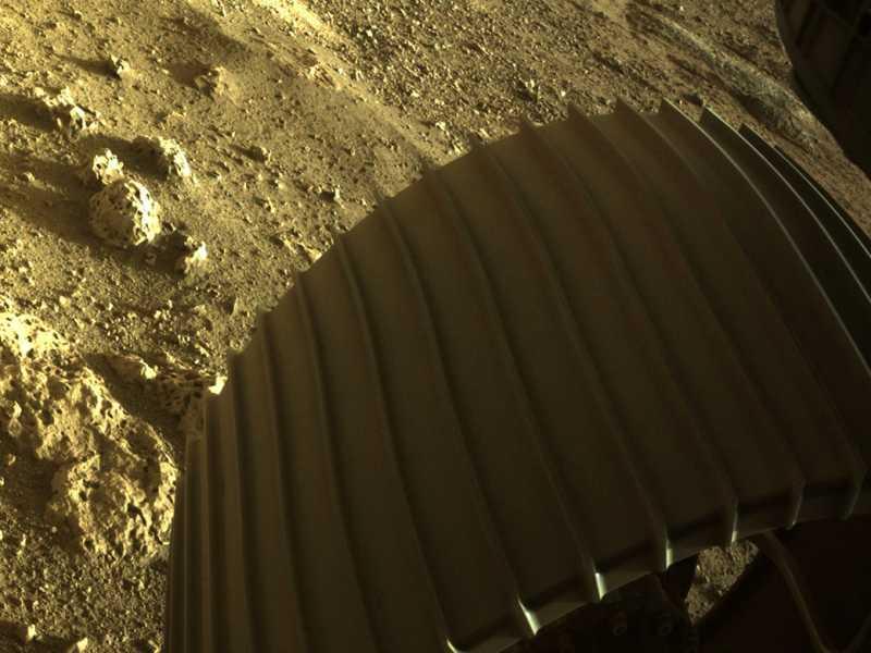 NASA: Живот от Земята може да оцелее на Марс