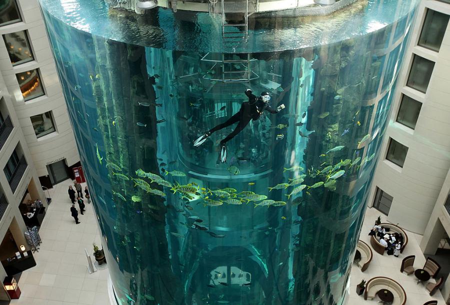 Най-големият аквариум в Берлин се спука и изсипа 1 млн. литра вода и 1500 риби
