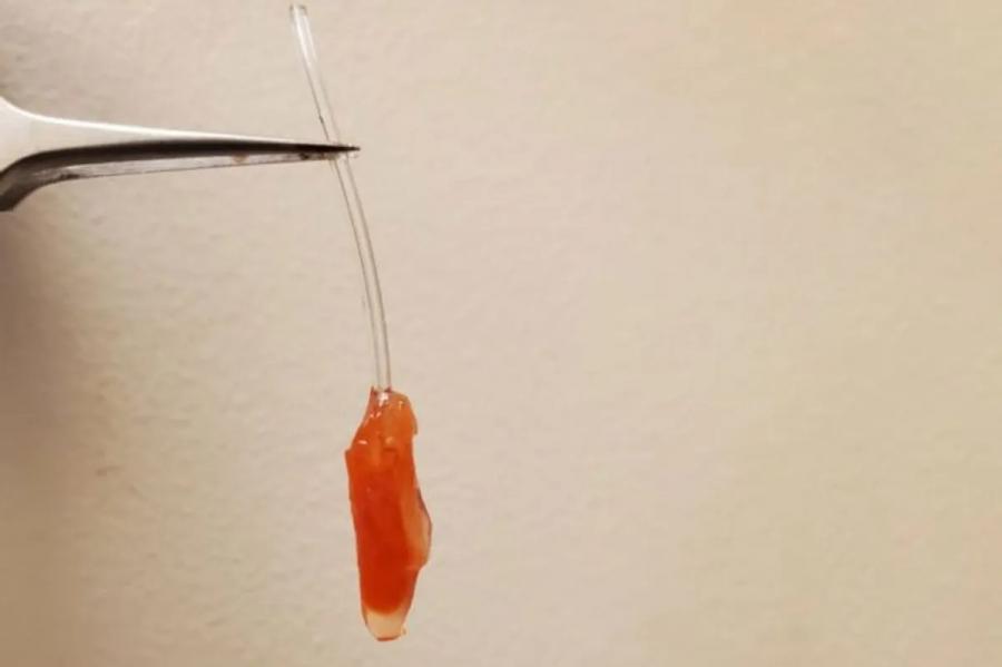 Учени създадоха миниатюрна камера на сърце в лабораторни условия. И тя тупти