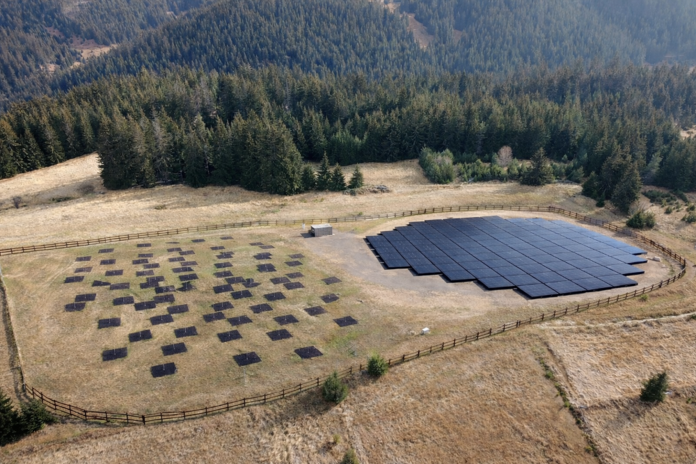 България ще изгради първата в Югоизточна Европа станция на най-големия радиотелескоп в света