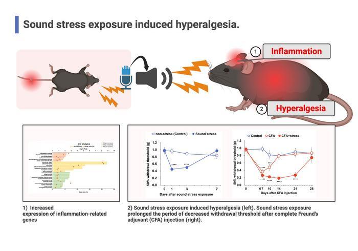 Звуковият стрес може да удължи и засили болката