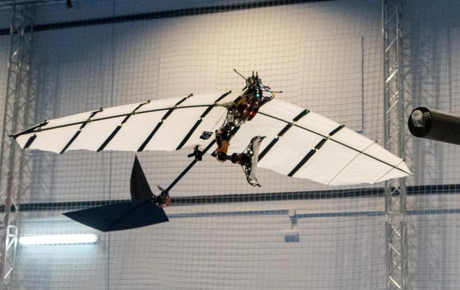 Учени създадоха робот-птица за наблюдение на природата