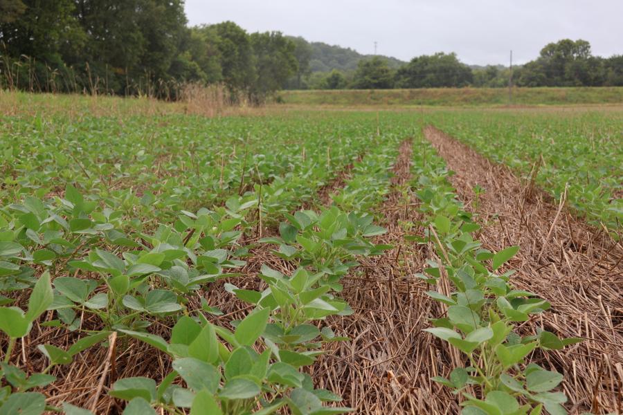 Регенеративното земеделие: защо почвата е първата линия на адаптация към климата