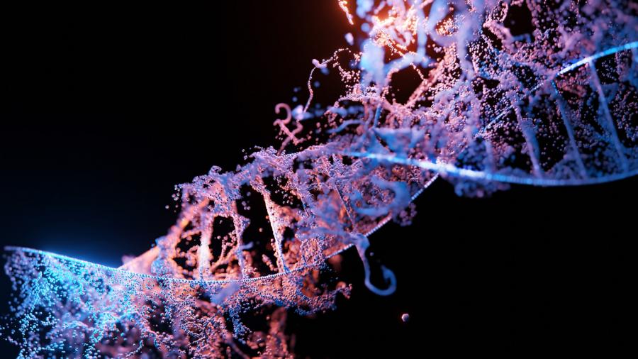 Учени показаха най-изчерпателния човешки геном за всички времена