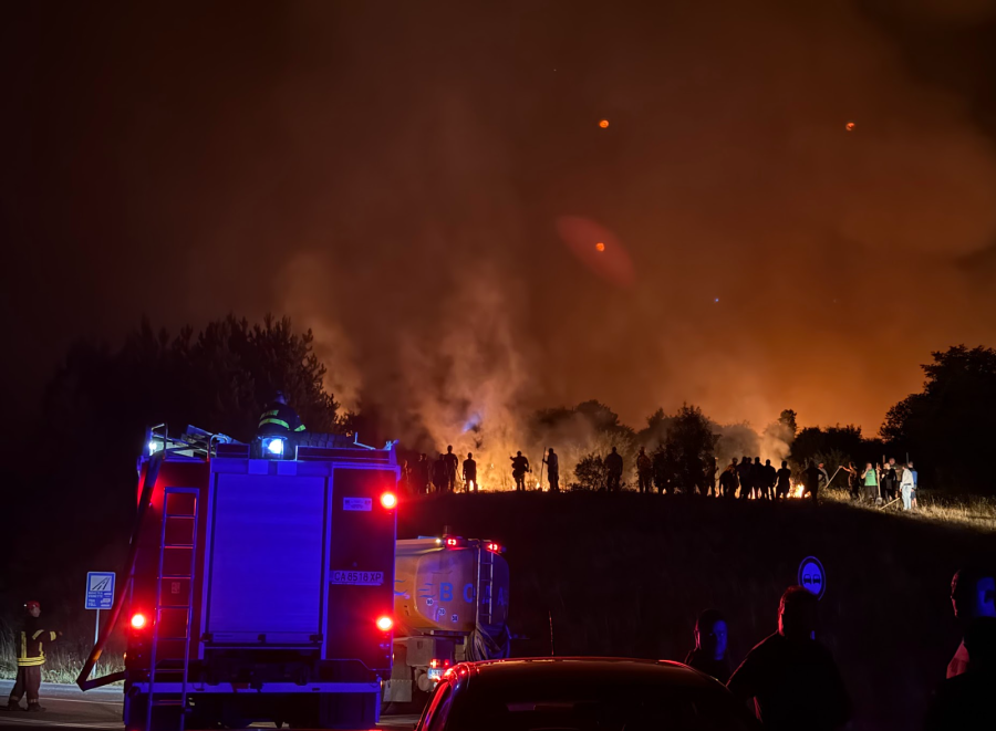 Българската гора в пламъци: кога ще се научим да се пазим от огъня?