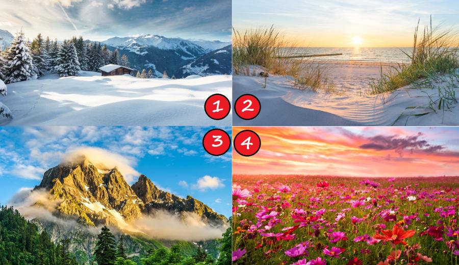 ТЕСТ: Избери пейзаж и научи какъв си