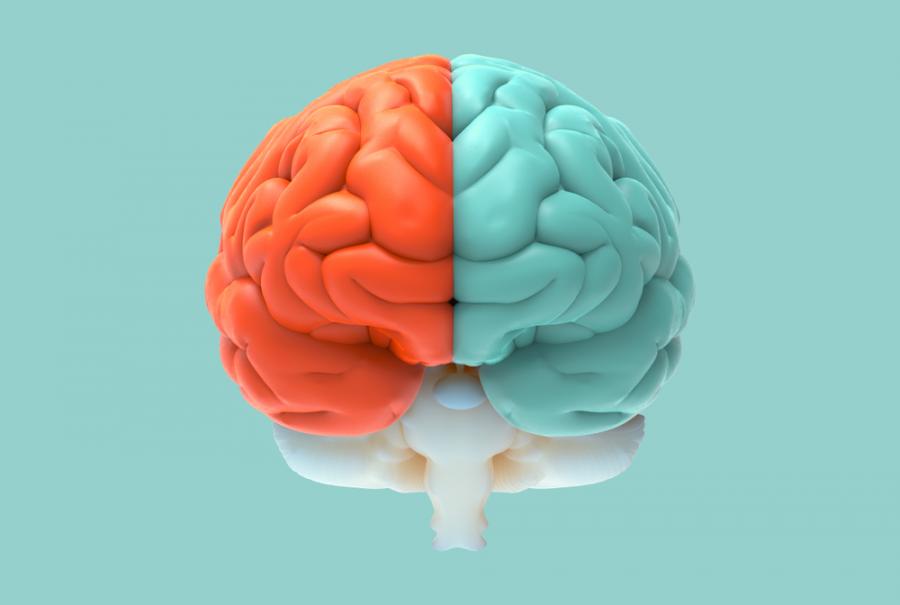 Тест: От какъв пол е мозъкът ви?