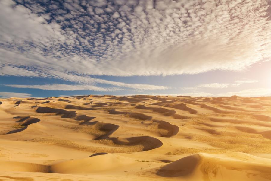 Ние, хората, сме превърнали Сахара в пустиня?