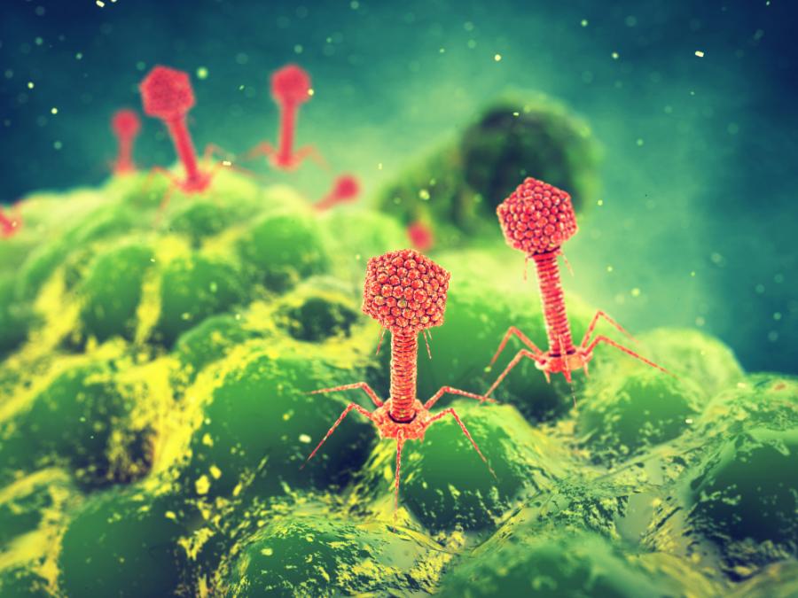 Как отдавна забравен вирус може да разреши кризата с антибиотиците