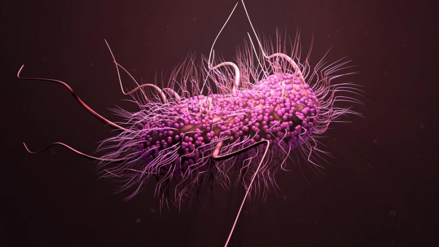 Магнитни бактерии могат да бъдат използвани в борбата с ракови образувания