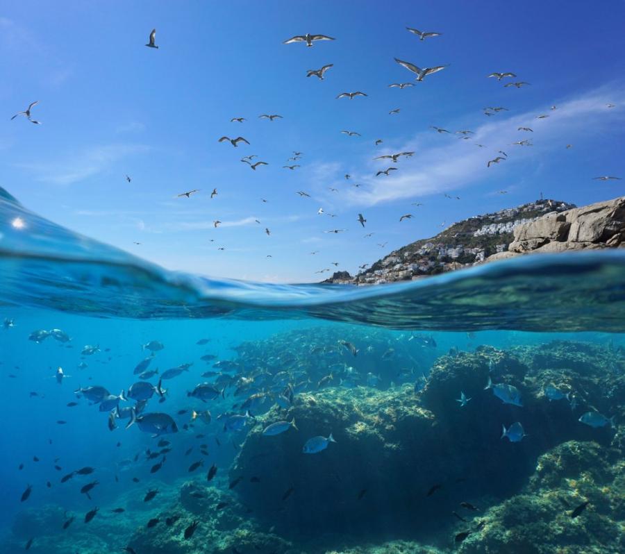 Средиземно море подобри рекорда за най-висока дневна температура на водата, откакто се правят подобни измервания