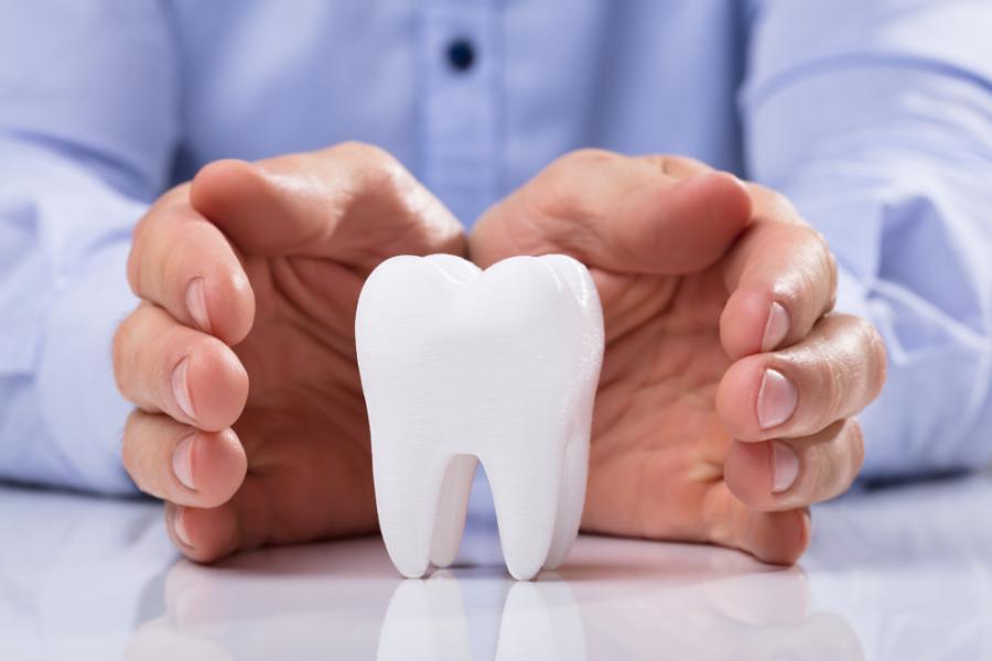 Зъбният емайл е най-твърдата тъкан, произвеждана от човешкото тяло: 14 факта за зъбите