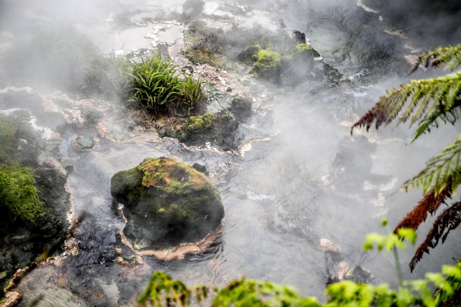 Андерс Рузо: Как открих митична кипяща река в Амазония