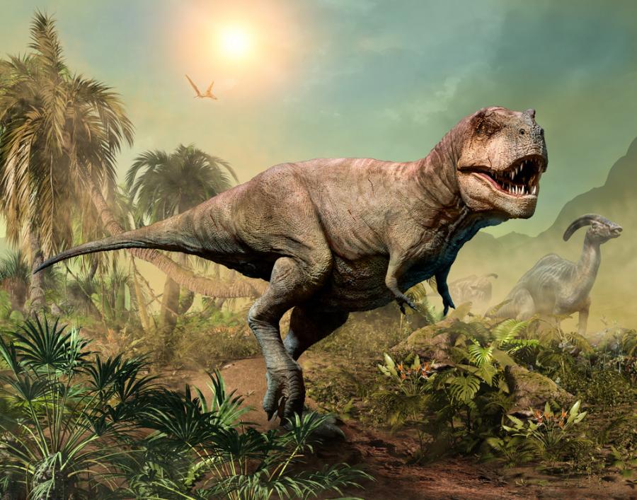 Там, където тиранозаврите са господствали, дори средно големите месоядни животни са изчезнали