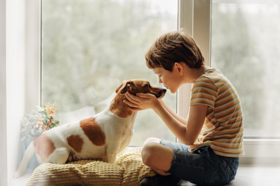 Кучетата намаляват риска от хранителна алергия у децата