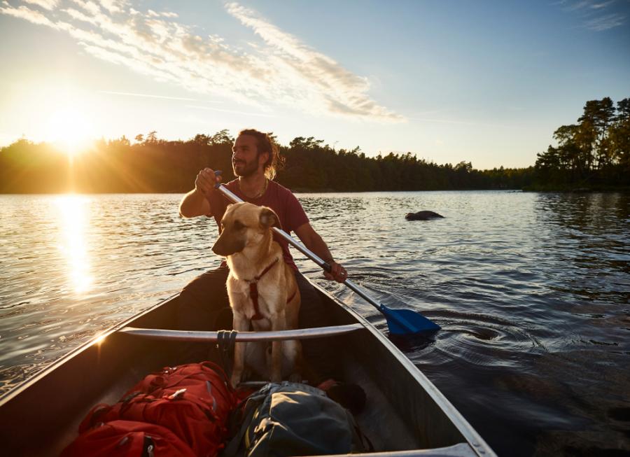 Лесните правила за щастлив живот